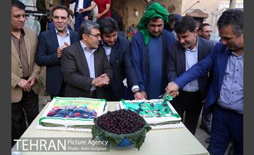 دومین جشنواره شاتوت دردهستان سولقان 31