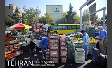 میوه فروشان خیابانی 12