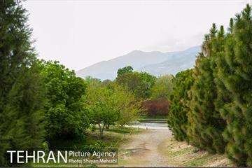 باغ گیاه‌شناسی ملی ایران 11