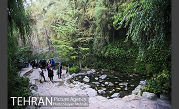 بوستان نهج البلاغه (فاز١) 15