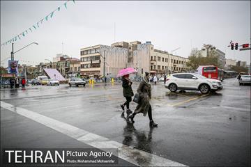 بارش باران بهاری در تهران 4