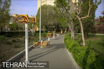 روز طبیعت در بوستان هاى منطقه ٥