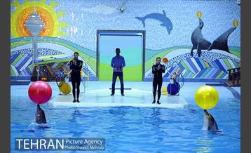 دلفیناریوم برج میلاد 22