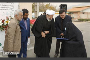 پنجمین جشنواره خرمالوی کن 15