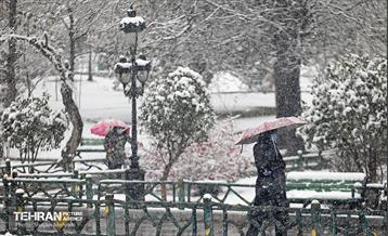 بارش برف در تهران 38