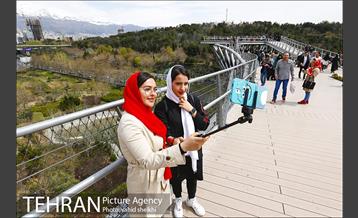 پل طبیعت در تعطیلات نوروز 3
