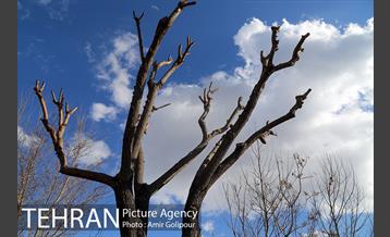هوای پاک تهران 14