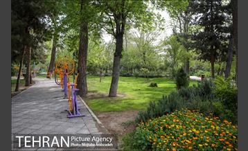 روز طبیعت بدون انسان 7