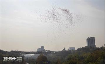 مراسم رونمایی از پویش "همه هوادار ایران" 9