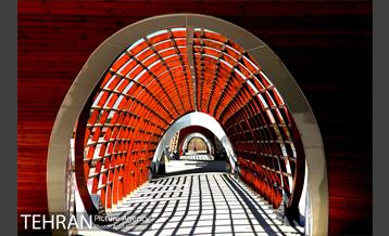 پیاده موج دریاچه شهدای خلیج فارس 11