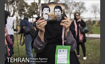 درختکاری و لانه گذاری کبوتر در بوستان بعثت 24