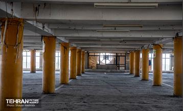 جای خالی پروانه ها 15