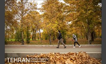 پاییز زیبای پایتخت 8