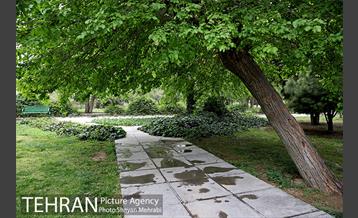 بوستان آزادگان 37