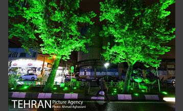 نورپردازی درختان بلوار میرداماد 13