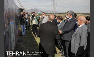 مراسم درختکاری در بوستان پردیسان 10