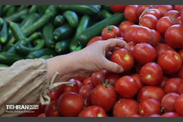 آیین بهره‌برداری از ۴ بازار میوه و تره‌بار 15