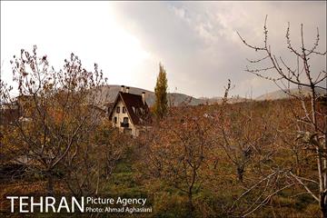 پاییز طلایی روستای افجه 4