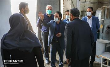 بازدید اعضای شورای شهر از پروژه های سازمان مدیریت پسماند 29