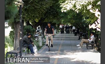 پویش سه شنبه های بدون خودرو 16