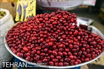 محله تجریش 7