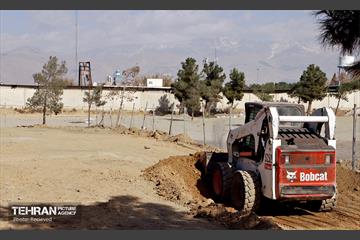 اینجا کارگاهه؛ بازار پرندگان خلیج فارس 1