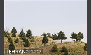 بوستان جنگلی کوهسار 22