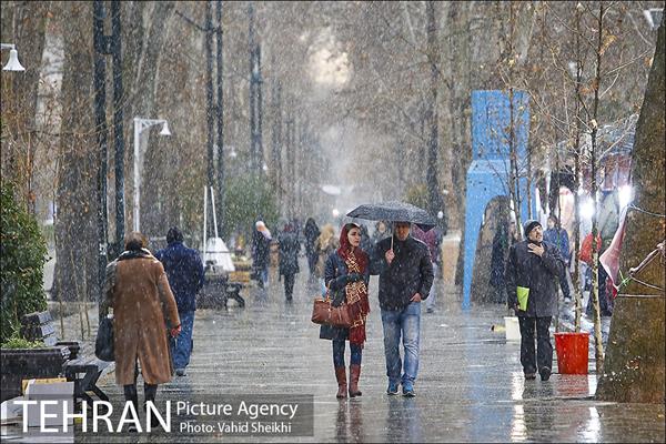 بارش برف در شمال تهران 9