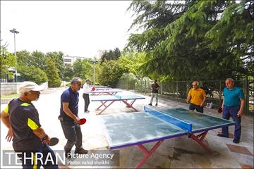 بوستان نیاوران 20