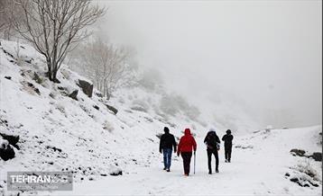 بارش برف زمستانی در تهران 30