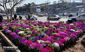 طرح استقبال از بهار 41