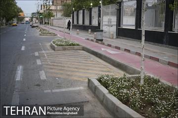 پارک خودرو‌ بین درختان چنار 23