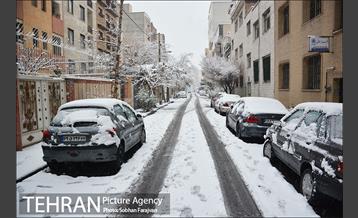 بارش برف زمستانی در تهران-2 4