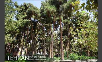 بوستان رسالت 19