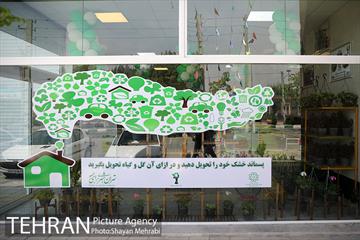 طرح گلماند در منطقه 18