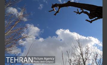 هوای پاک تهران 15
