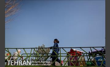 روزهای آفتابی پارک لاله 14