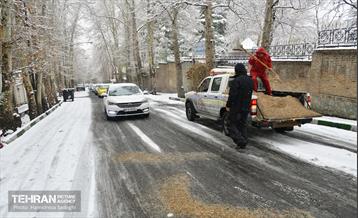 تهران برفی  10