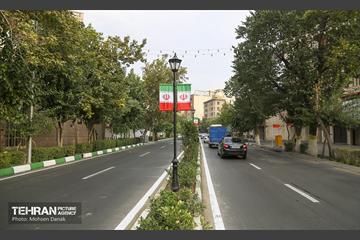 رفیوژ های همیشه سبز 10