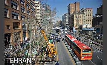 احیای درختان خیابان  ولیعصر( عج) با حضور شهردار تهران  43