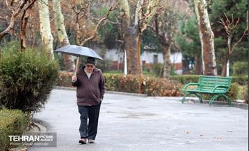 بارش باران زمستانی در تهران 6