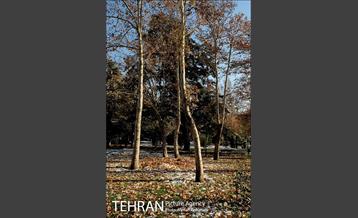 پاییز برفی پارک ملت 9