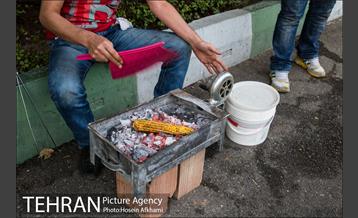 شیر بلال تابستان 17