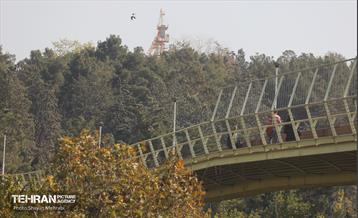 تهران در دود 25