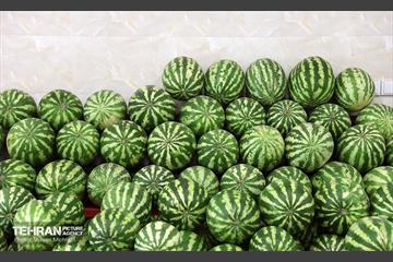 بازار میوه و تره‌بار میخک 8