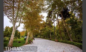 پاییز پارک شهر 22