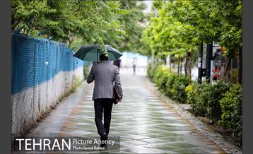 بارش باران در آخرین روز اردیبهشت -2 12