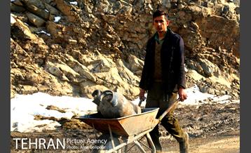 روستای کوهستانی سنگان‎ 31