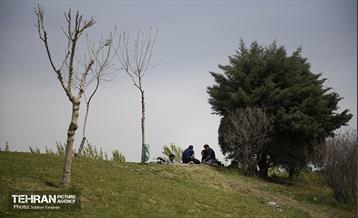 روز طبیعت در اراضى عباس آباد 28