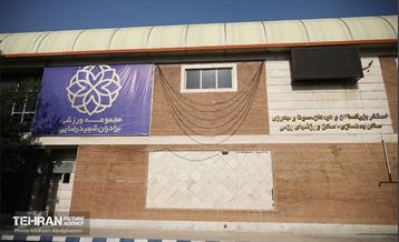 افتتاح و بهره برداری از ۱۲۶ پروژه مدیریت شهری در منطقه ۵ 18